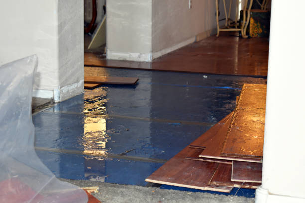Professional Burst Pipe Water Damage technician working in Pleasureville, KY